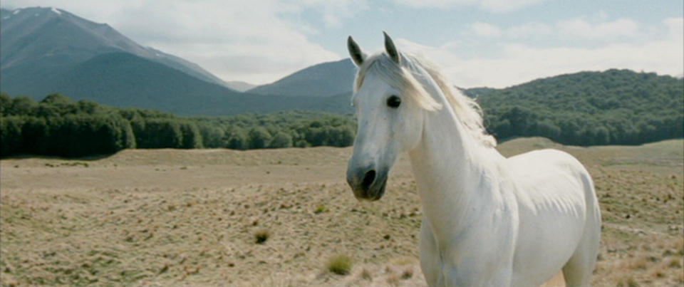 shadowfax f6051