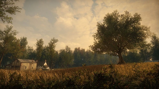 image 33666